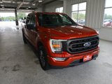Certified 2023 Ford F150 XLT w/ Equipment Group 302A High image 2