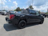 New 2025 Ford F150 Platinum image 4