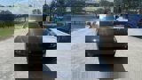 New 2025 Dodge Charger Daytona R/T w/ Quick Order Package 25M R/T image 3