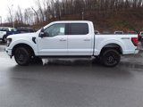New 2025 Ford F150 XLT w/ Equipment Group 302A MID image 4
