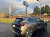 New 2025 Ford Escape SE w/ PHEV Premium Package image 5