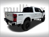 New 2025 Ford F250 XLT w/ Black Appearance Package image 3