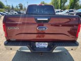 Certified 2017 Ford F150 XLT w/ Equipment Group 302A Luxury image 4