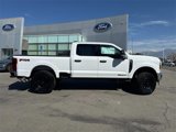 New 2025 Ford F250 XL w/ 360-Degree Camera Package image 3