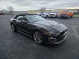 Used 2023 Ford Mustang GT Premium w/ Equipment Group 401A image 4