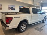 New 2025 Ford F150 XLT image 5