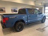 New 2025 Ford F150 STX w/ Equipment Group 201A FX4 image 5