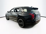 New 2025 Hyundai Palisade Calligraphy image 4