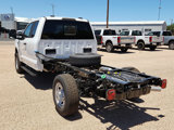New 2025 Ford F350 XL image 3