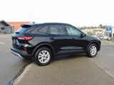 New 2025 Ford Escape Active w/ Active Premium Tech Pack image 3