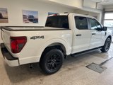 New 2025 Ford F150 STX w/ STX Black Appearance Package image 5