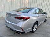 Used 2019 Hyundai Sonata SE w/ Cargo Package image 3