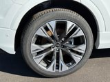 New 2025 Audi Q8 Premium Plus image 4