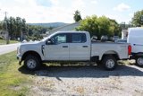 New 2026 Ford F250 4x4 Crew Cab Super Duty image 4
