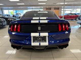 Used 2016 Ford Mustang Shelby GT350 w/ Technology Package image 4