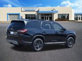 Used 2025 Honda Pilot TrailSport image 3