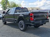 New 2025 Ford F250 Platinum w/ Tremor Off-Road Package image 4