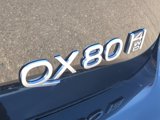 New 2025 INFINITI QX80 Sensory w/ Premium Cargo Package image 5