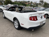 Used 2011 Ford Mustang Convertible w/ 101A Rapid Spec Order Code image 5