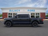 New 2025 Ford F150 XLT w/ Equipment Group 302A MID image 4