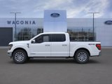 New 2025 Ford F150 XLT image 3