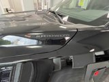 New 2025 Ford F150 XL image 6