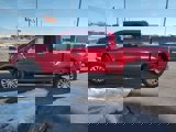 New 2025 Ford F150 XLT w/ Equipment Group 302A MID image 4