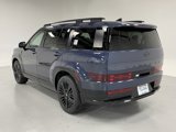 New 2025 Hyundai Palisade Calligraphy image 3