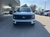 New 2025 Ford F150 STX w/ Equipment Group 200A image 2