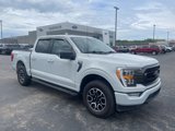 Certified 2023 Ford F150 XLT w/ Equipment Group 302A High image 4