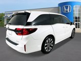New 2025 Honda Odyssey Elite image 5