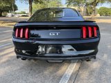 Used 2016 Ford Mustang GT w/ Interior & Wheel Package image 6