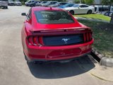 Used 2023 Ford Mustang Premium w/ Equipment Group 201A image 3