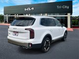 New 2025 Kia Telluride EX image 4