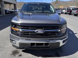New 2025 Ford F150 XLT image 3