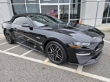 Used 2020 Ford Mustang GT Premium w/ Equipment Group 401A image 4