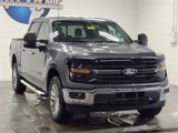 New 2025 Ford F150 XLT w/ Equipment Group 303A High image 3
