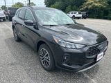 New 2024 Ford Escape SE image 4