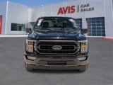 Used 2023 Ford F150 XLT w/ Equipment Group 302A High image 2
