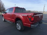 New 2024 Ford F150 XLT image 5