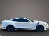 Used 2016 Ford Mustang Coupe w/ Ecoboost Performance Package image 5