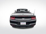 Used 2024 Ford Mustang Premium image 5