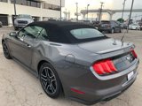 Used 2022 Ford Mustang Premium image 5