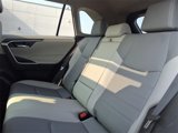 Certified 2019 Toyota RAV4 XLE Premium image 5