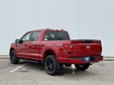 New 2025 Ford F150 STX image 3