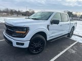 New 2025 Ford F150 XLT w/ Equipment Group 303A High image 2
