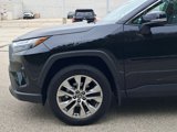 Used 2024 Toyota RAV4 XLE Premium image 5