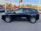 Used 2020 Ford Escape SE image 5