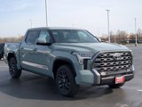 New 2025 Toyota Tundra Platinum image 4