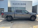 New 2025 Ford F150 STX image 4